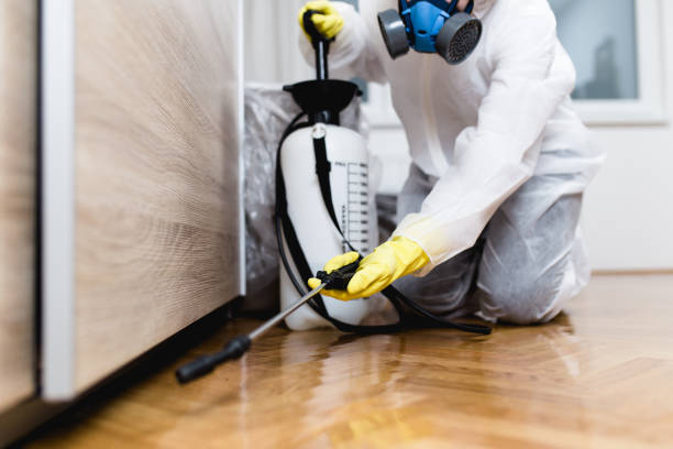 Best Affordable Pest Control Services  in Shawsville, VA