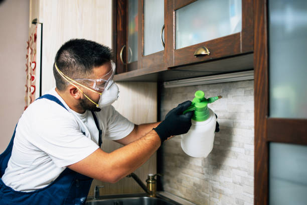 Best Pest Control for Businesses  in Shawsville, VA