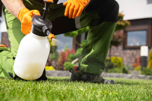 Best Pest Control Treatment  in Shawsville, VA