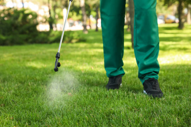 Best Termite Control Services  in Shawsville, VA