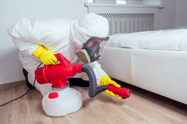 Best Insect Control  in Shawsville, VA