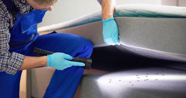 Best Pest Removal Services  in Shawsville, VA