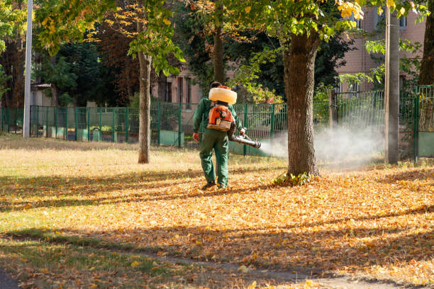 Best Best Pest Control Companies  in Shawsville, VA
