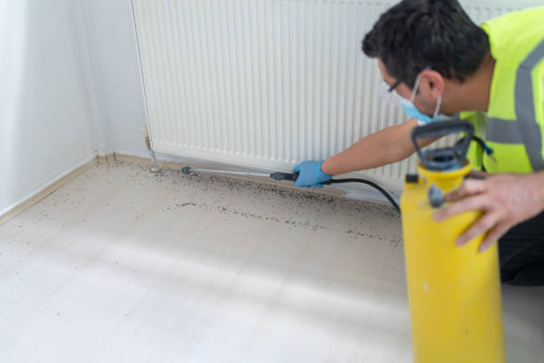 Best Residential Pest Control  in Shawsville, VA